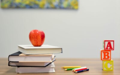 The German education System